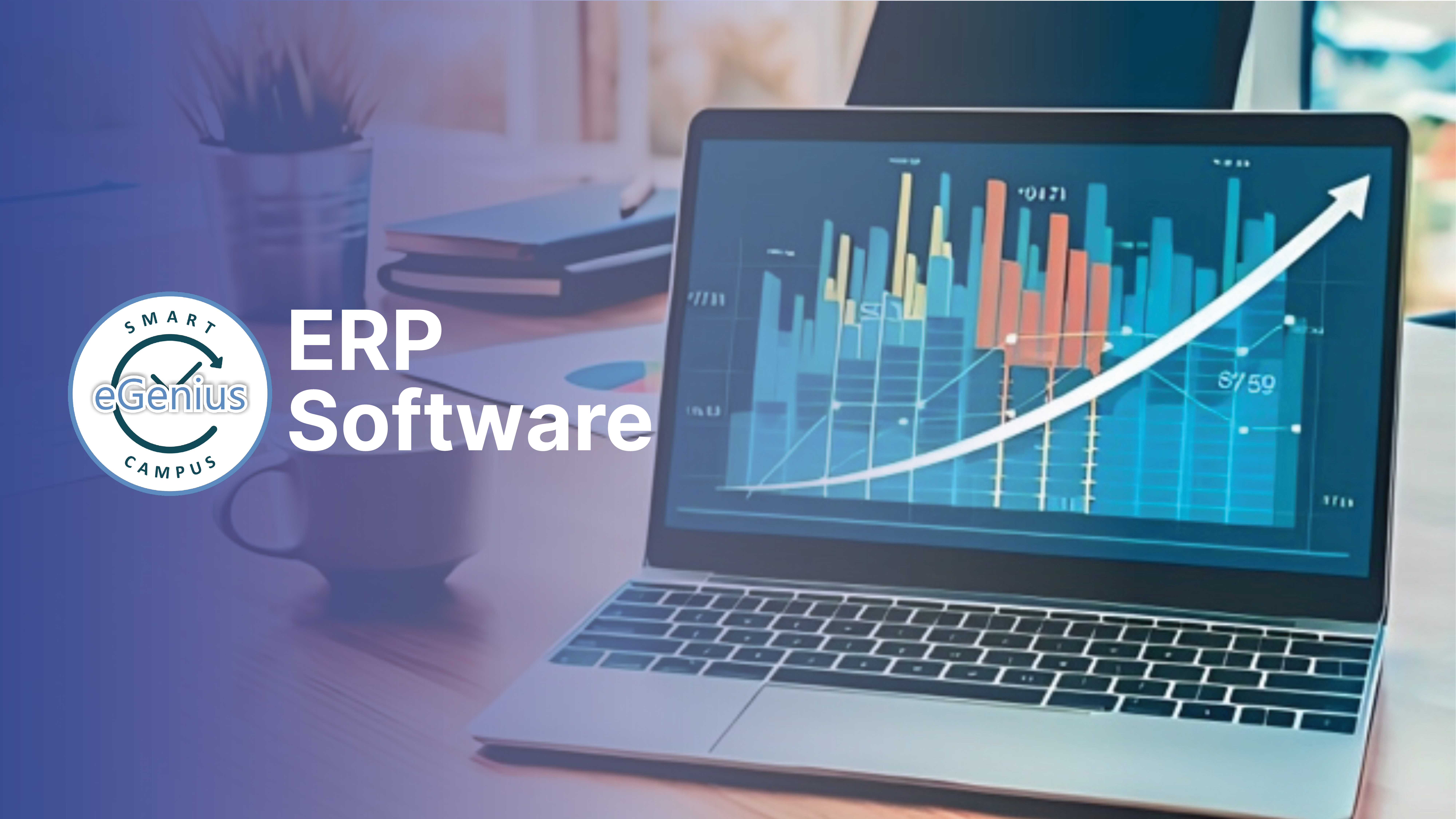 ERP Software for Small Institutions: Is It Worth the Investment? 