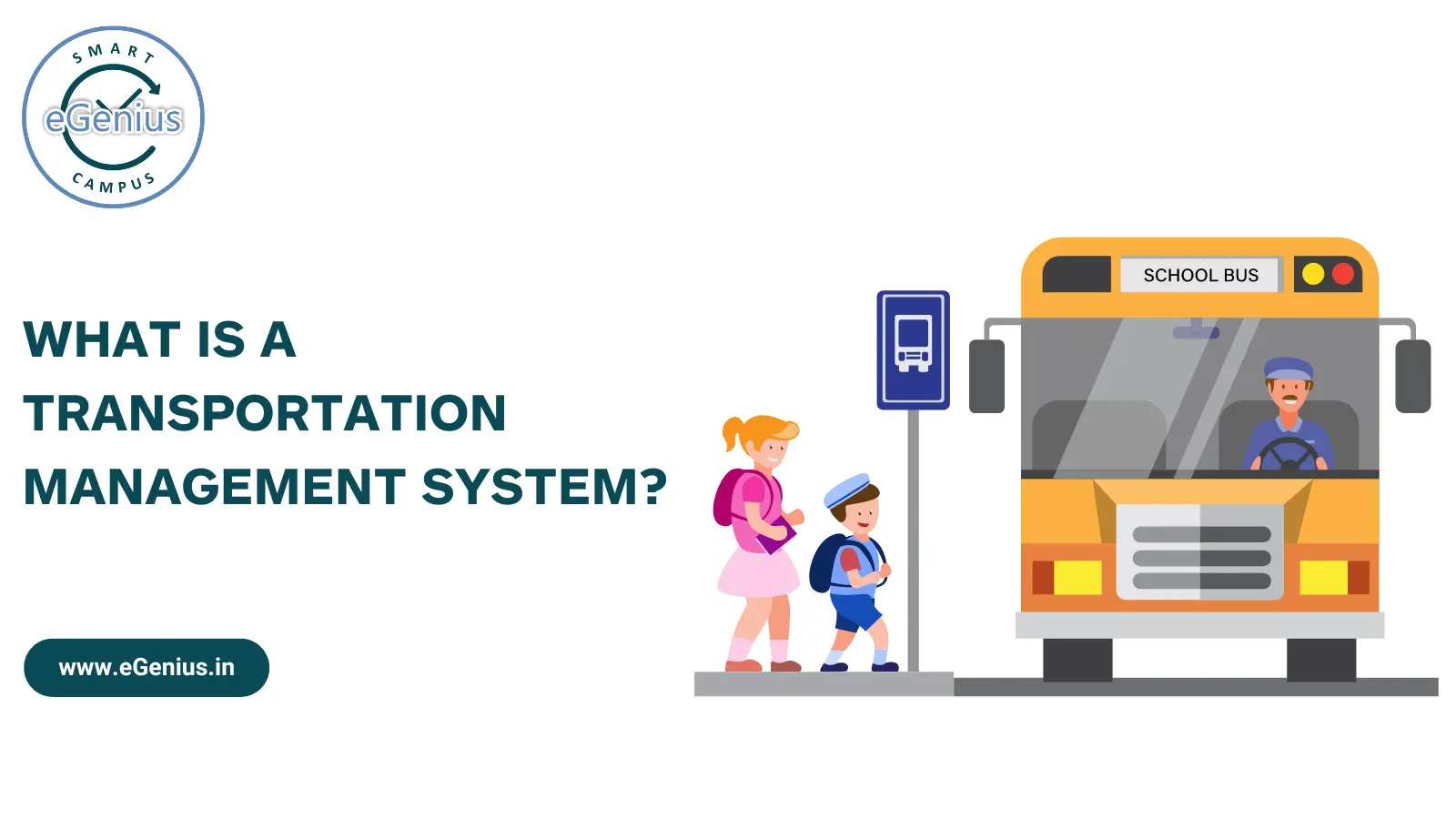 What is a Transportation Management System (TMS)?